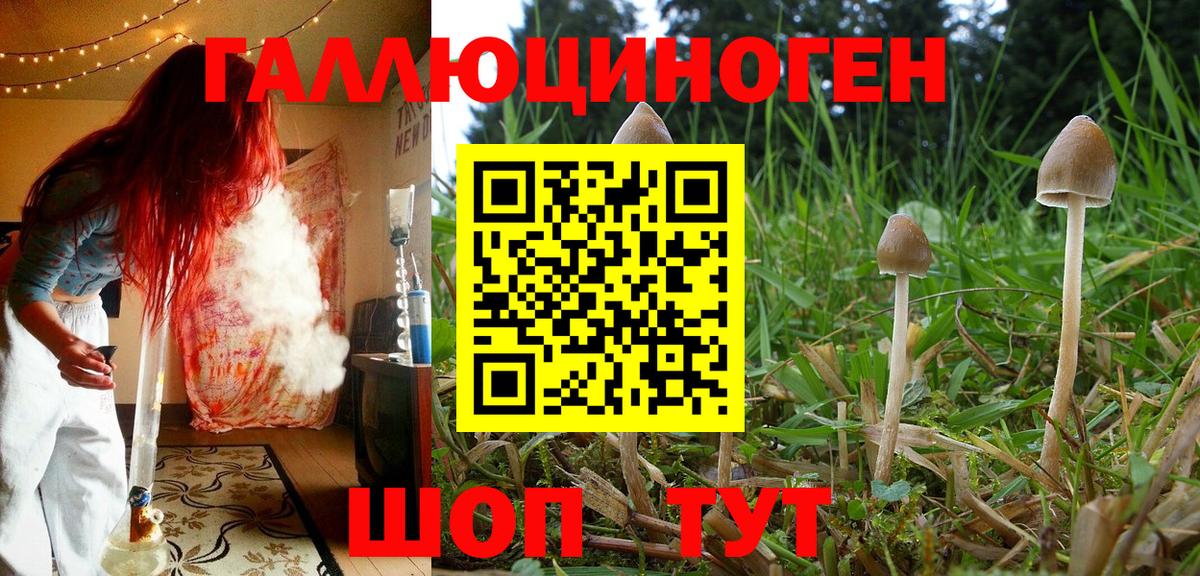 Галлюциногенные грибы ЛСД Маркс