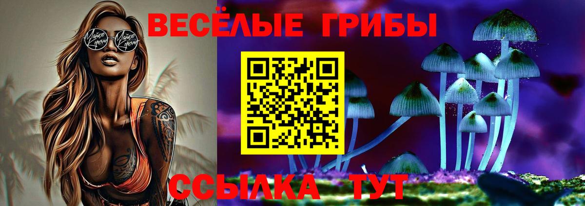 Галлюциногенные грибы GOLDEN TEACHER  Вход с VPN  Галлюциногенные грибы Psilocybine cubensis  Маркс 